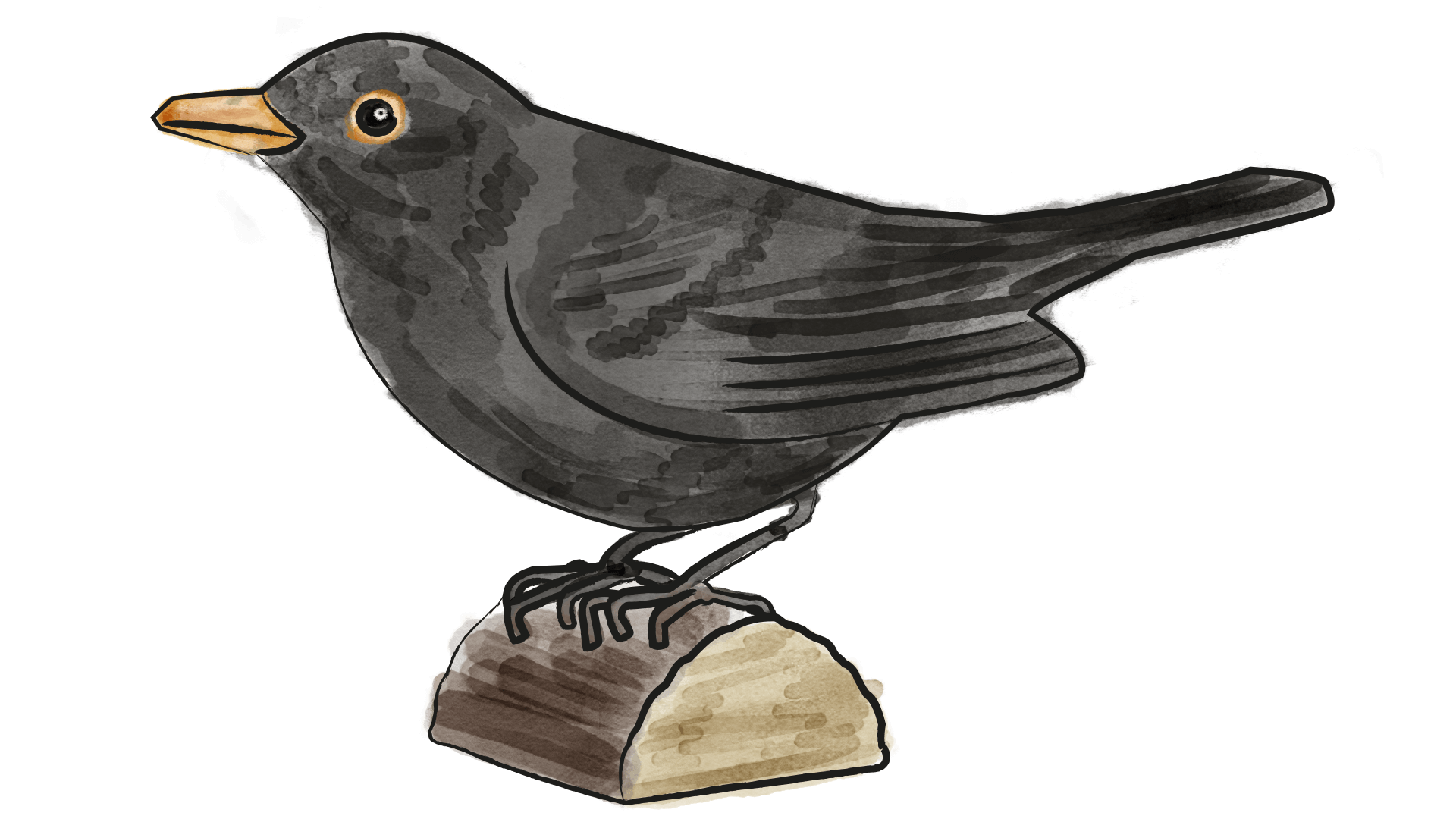 2007 Handgeschnitzte Vögel - DecoBird