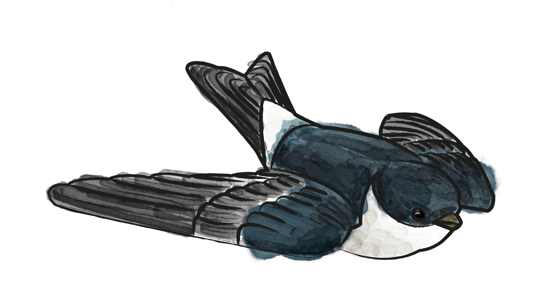 2009 Fliegende DecoBirds