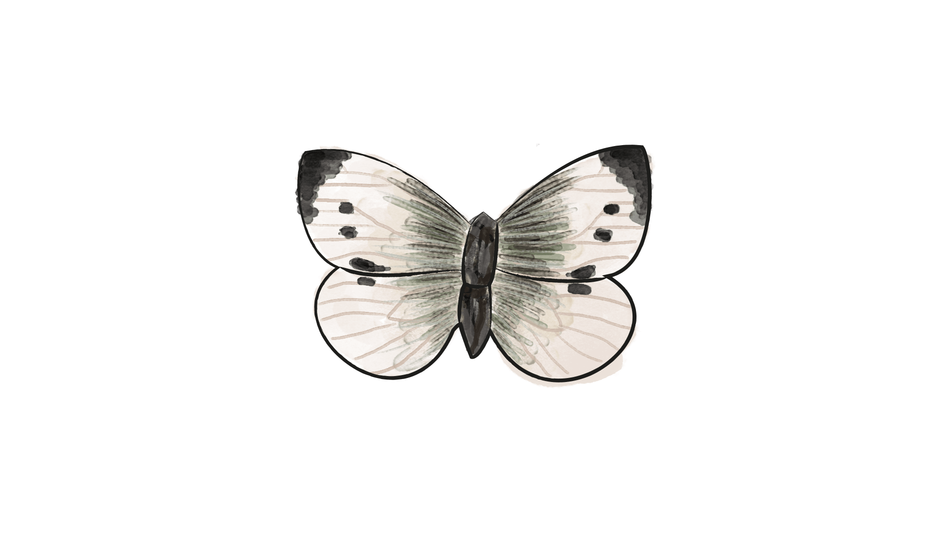 2012 Magnete