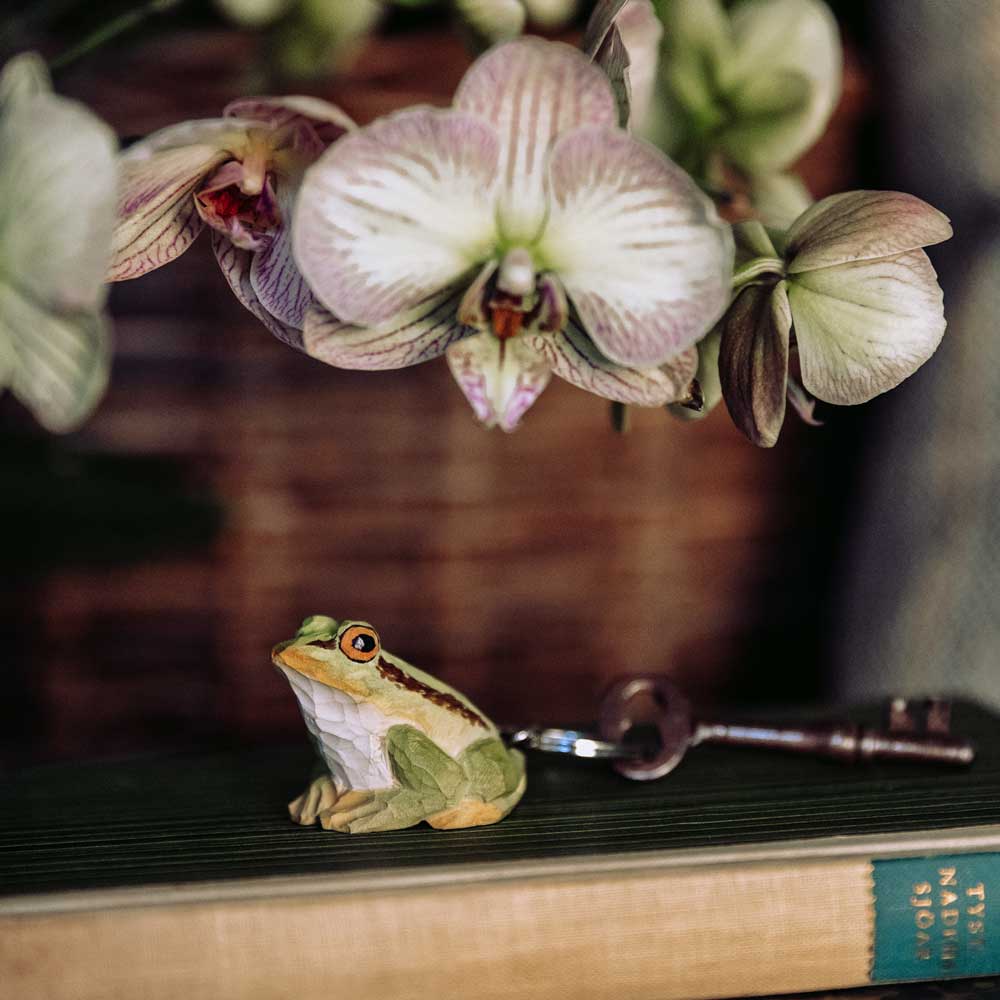 Frosch