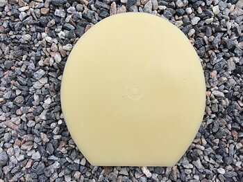 Beige sula