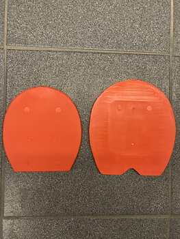 Orange sula