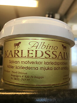 Albino Karledssalva