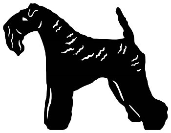 Grupp 3 - FCI nr. 3 / Kerry Blue Terrier (Siluett)
