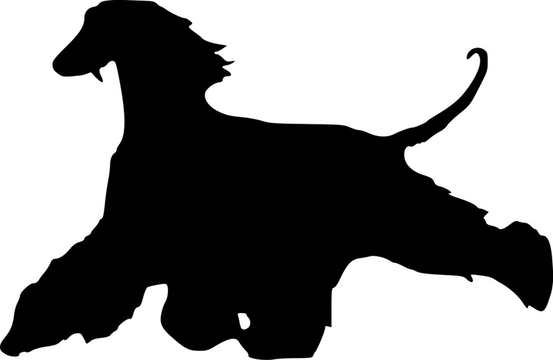 Grupp 10 - FCI nr. 228 / Afghanhund Run (Siluett)