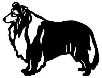 Grupp 1 - FCI  nr. 156 / Långhårig Collie (Siluett)