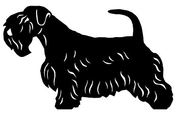 Grupp 3 - FCI  nr. 74 / Sealyham Terrier (Siluett)