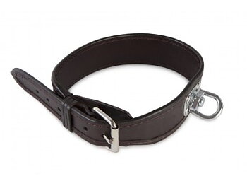 FIREDOG Spårhalsband, mörkbrun