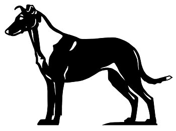 Grupp 1 - FCI  nr. 296/ Korthårig Collie (Siluett)