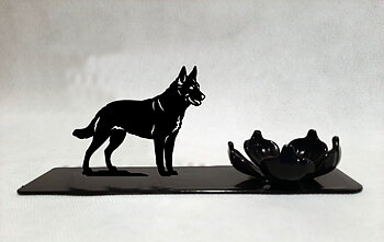 Grupp 1 - FCI  nr. 293 / Australian Kelpie (Ljus)