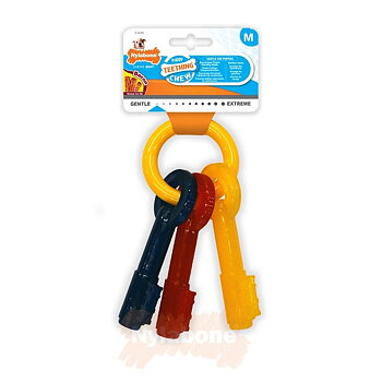 Nylabone Puppy Bacon Keys / M