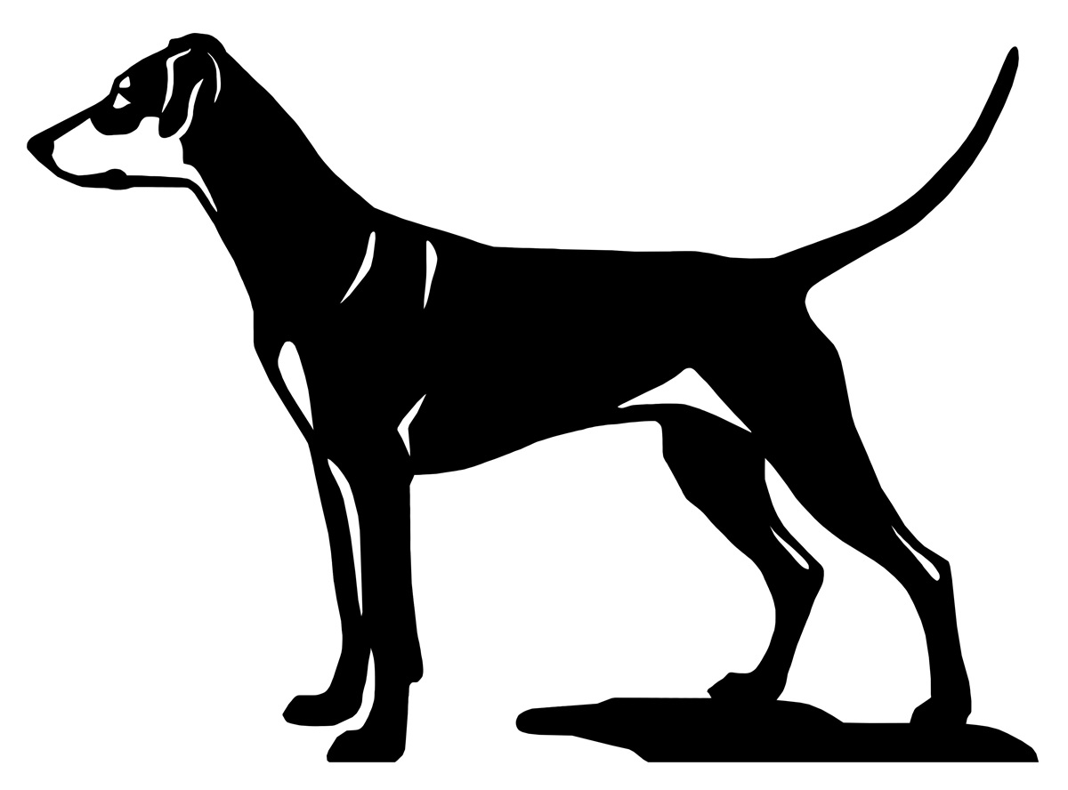 Grupp 2 - FCI nr. 184 / Pinscher (Siluett)