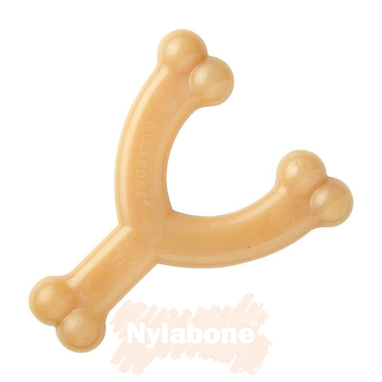 Nylabone Chicken Wishbone / M - 2