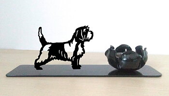 Grupp 6 - FCI  nr. 67 / Petit Basset Griffon Vendéen (Ljus)