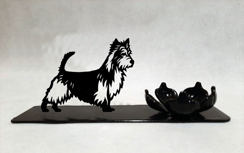 Grupp 3 - FCI nr. 8 / Australisk Terrier (Ljus)