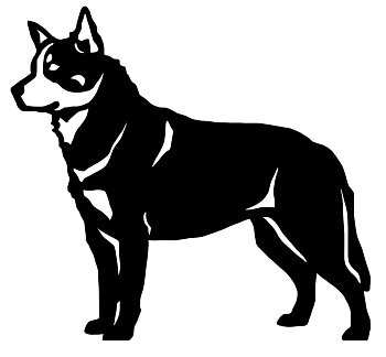 Grupp 1  - FCI nr. 287  / Australian Cattledog (Siluett)