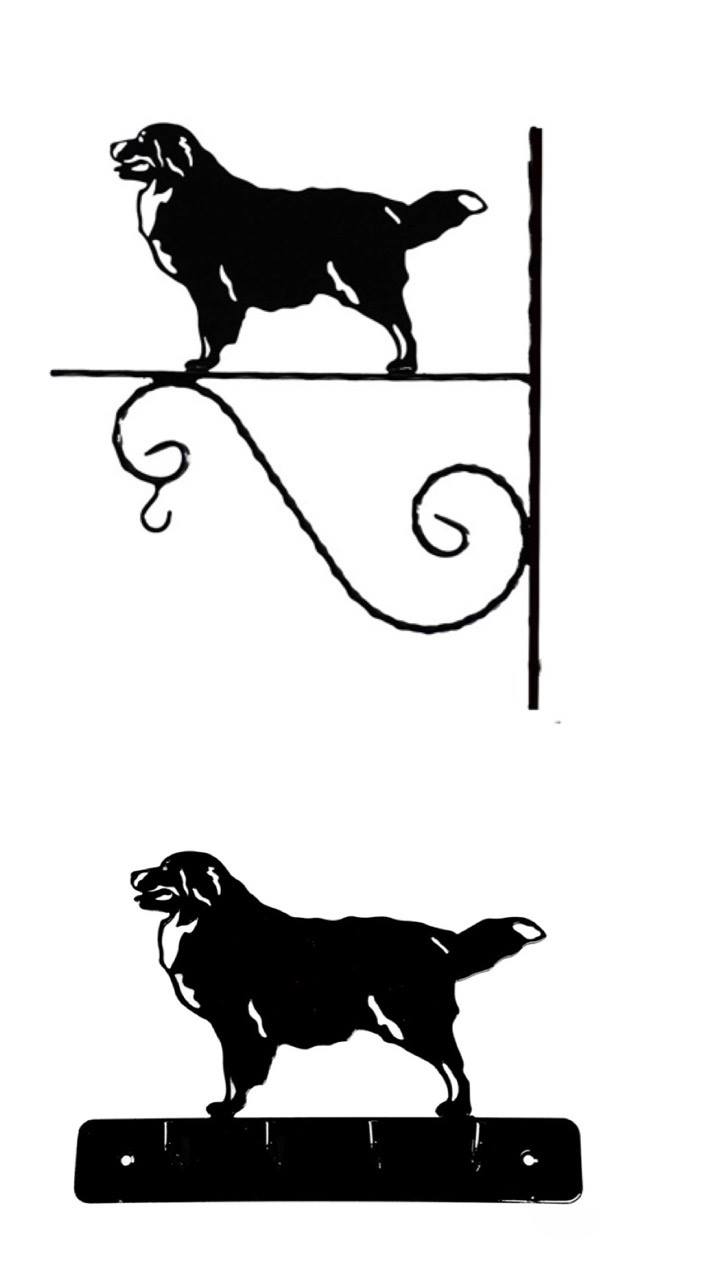 Grupp 2 - FCI  nr. 45 / Berner Sennenhund