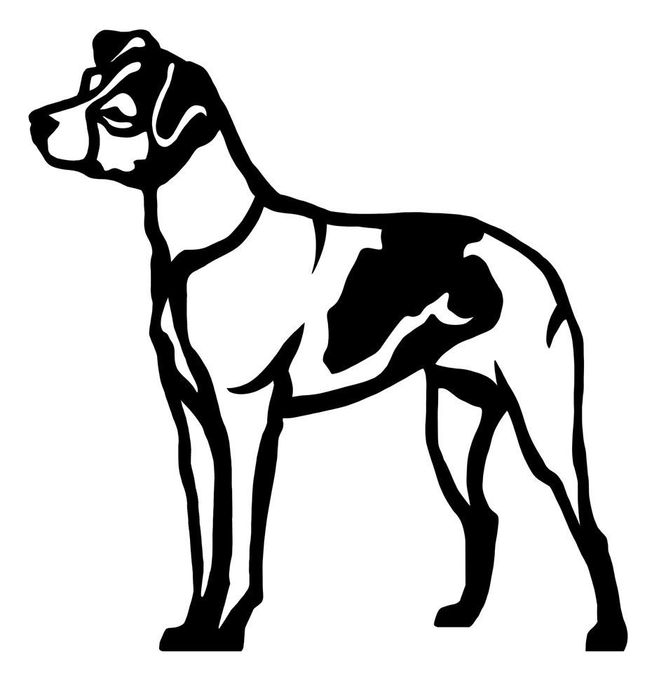 Grupp 3 - FCI  nr. 341 / Terrier Brasileiro (Siluett)