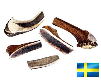 Horntugg/tugghorn, kluvet horn