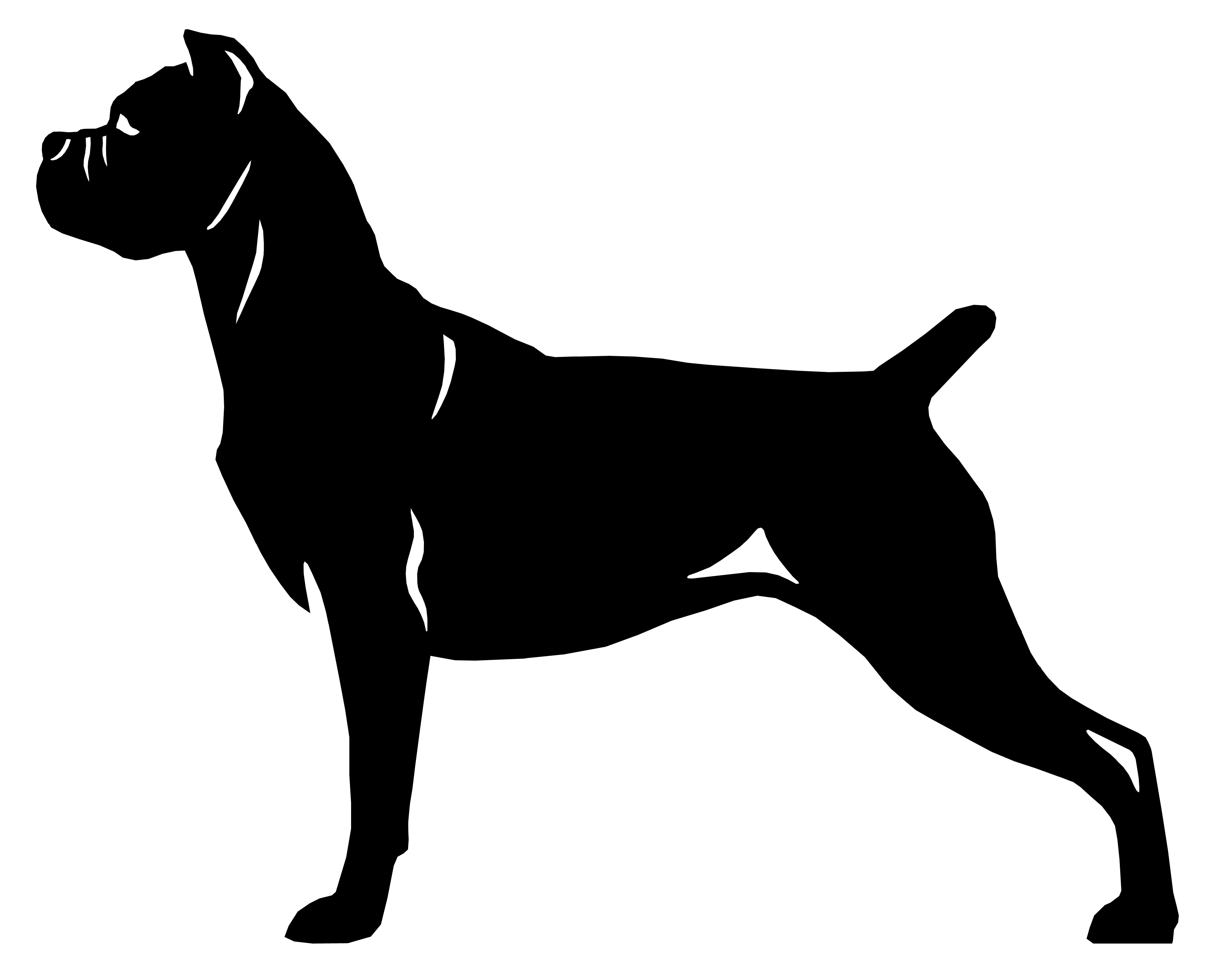 Grupp 2 - FCI  nr. 343 / Cane Corso (Siluett)