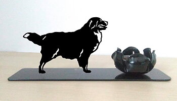 Grupp 2 - FCI nr. 45 / Berner Sennenhund (Ljus)