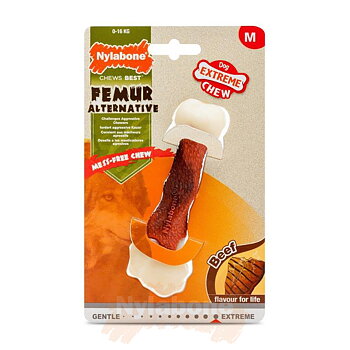 Nylabone Beef Femur Bone / M