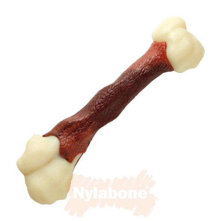 Nylabone Beef Femur Bone / M - 2
