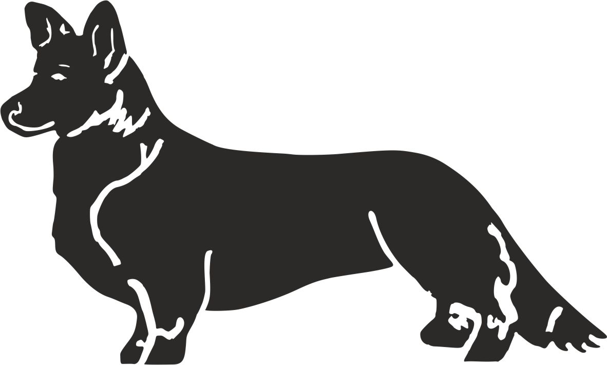 Grupp 1 - FCI nr. 38 / Welsh Corgi Cardigan (Siluett)