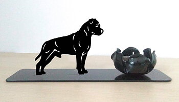 Grupp 3 - FCI nr. 286 / American Staffordshire Terrier Stand (Ljus)