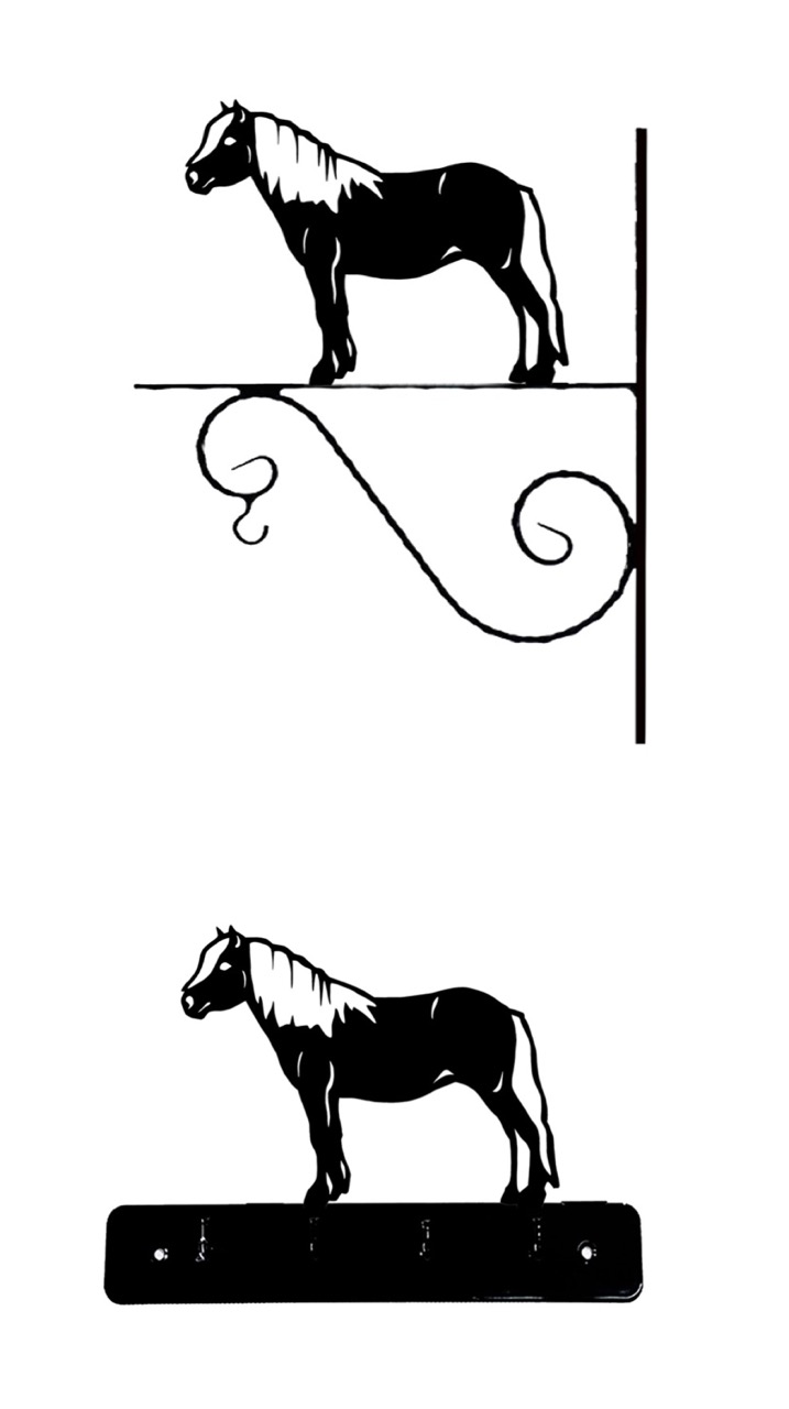Ponny / Shetlandsponny