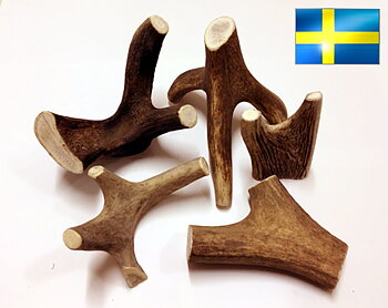 Horntugg/tugghorn, Krona
