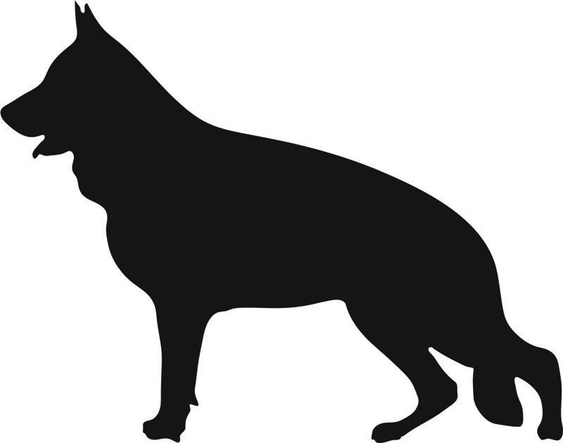 Grupp 1 - FCI nr. 166 / Tysk Schäferhund Normalhårig (Siluett)