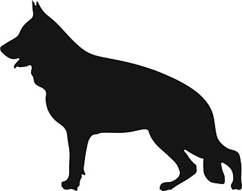 Grupp 1 - FCI nr. 166 / Tysk Schäferhund Normalhårig (Siluett)
