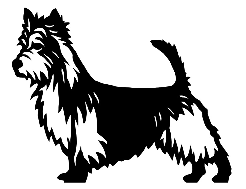 Grupp 3 - FCI nr. 8 / Australisk Terrier (Siluett)