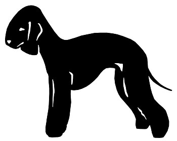 Grupp 3 - FCI nr. 9 / Bedlington Terrier (Siluett)