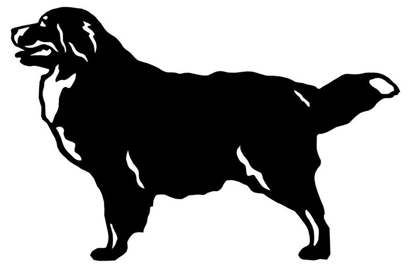 Grupp 2 - FCI nr. 45 / Berner Sennenhund (Siluett)