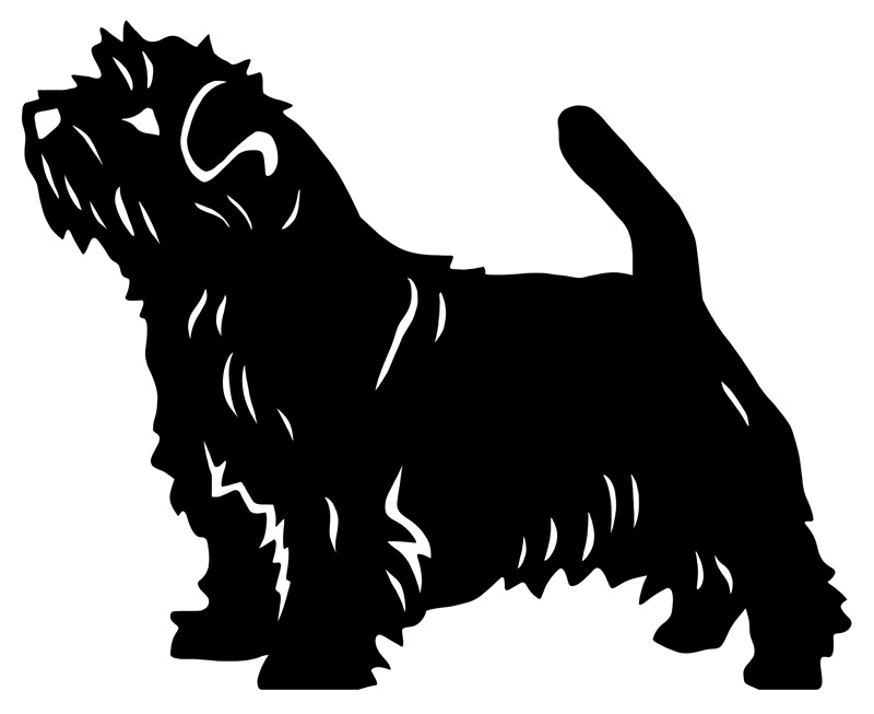 Grupp 3 - FCI nr. 272 / Norfolkterrier (Siluett)