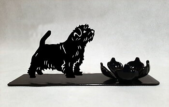 Grupp 3 - FCI nr. 272 / Norfolkterrier (Ljus)