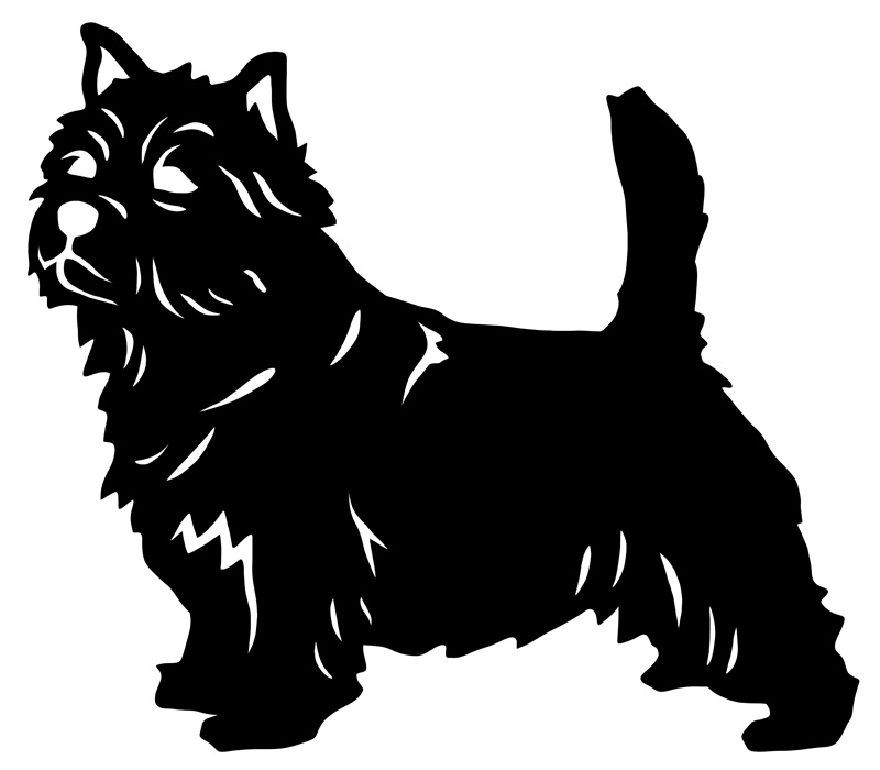 Grupp 3 - FCI nr. 72 / Norwichterrier (Siluett)