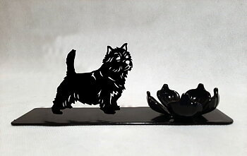 Grupp 3 - FCI nr. 72 / Norwichterrier (Ljus)