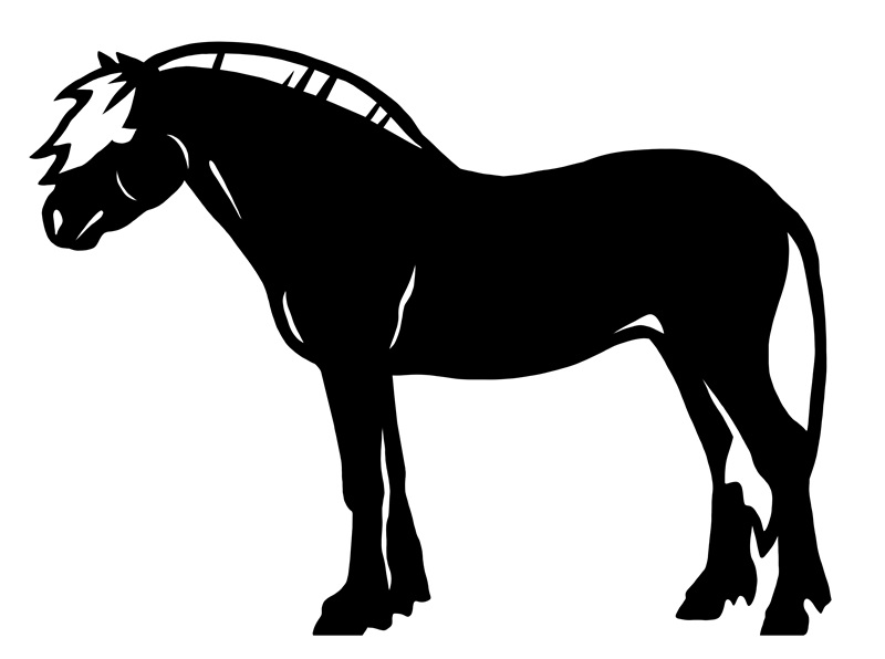 Häst / Norsk Fjordhäst (Siluett)