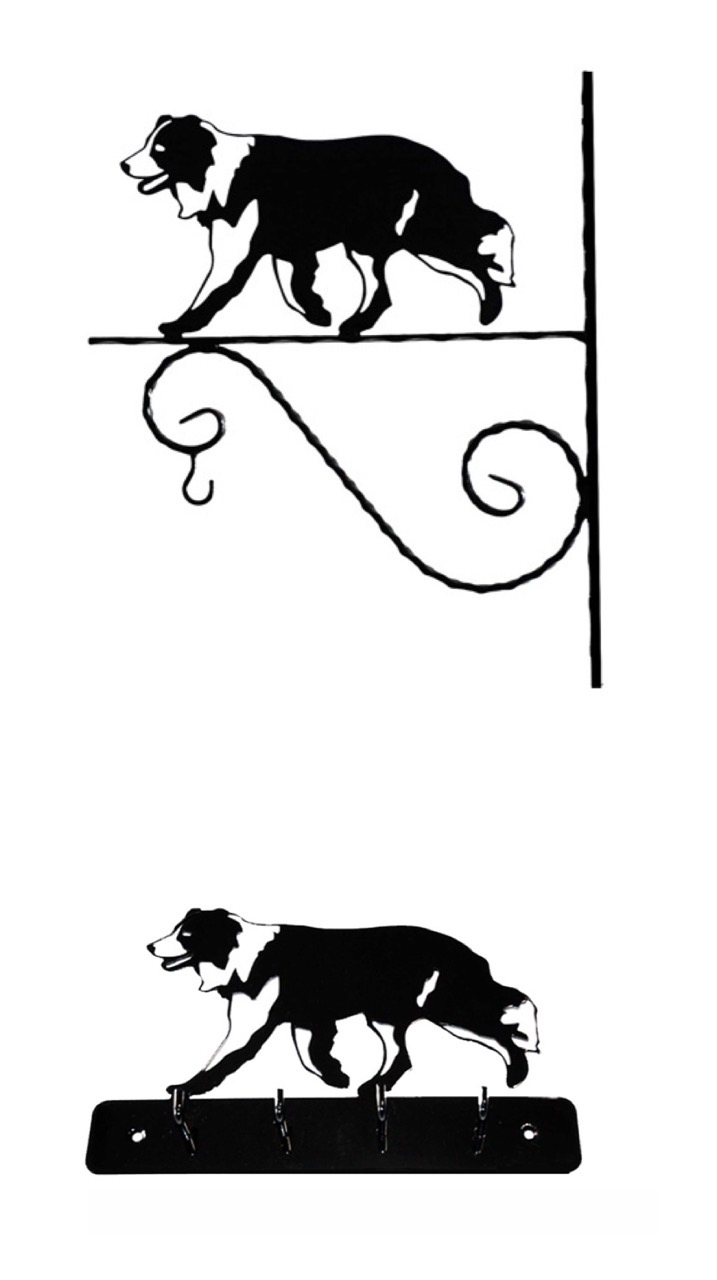 Grupp 1 - FCI  nr. 297 / Border Collie