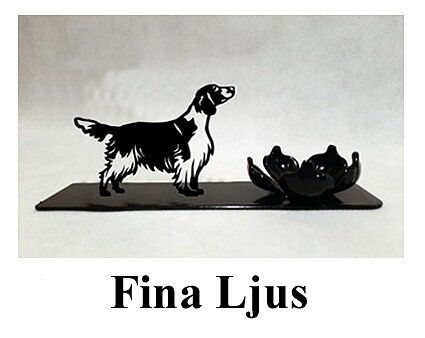 FINA Ljus