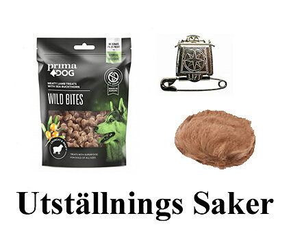 Utställnings Saker
