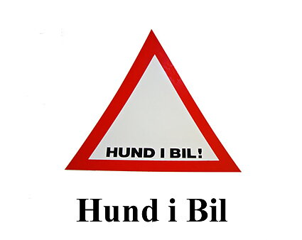 HUND i Bil