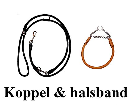 Koppel & Halsband