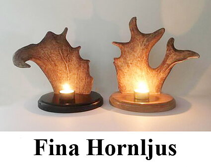 FINA Hornljus