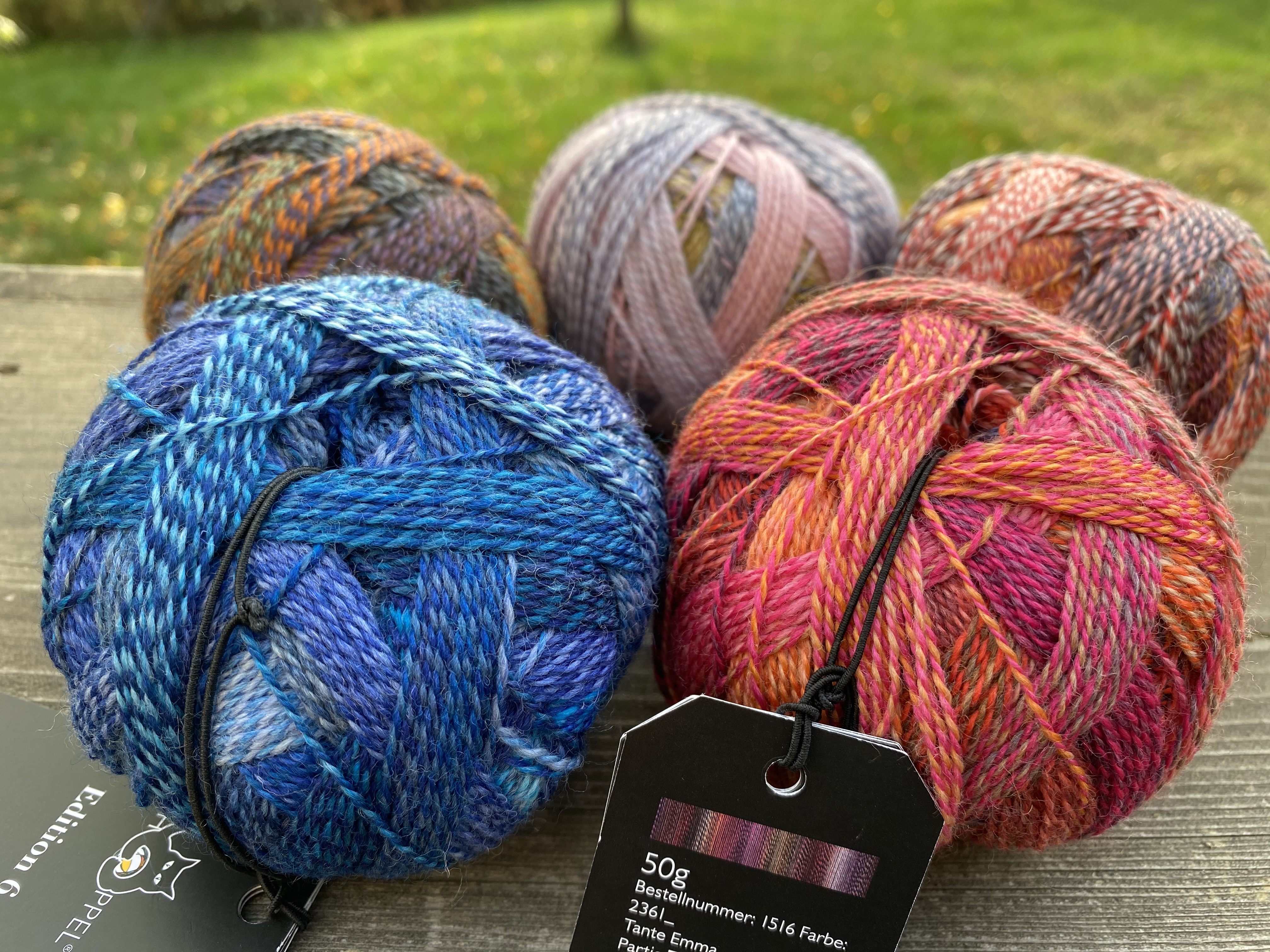 Schoppel Edition 6  - House of Hildur