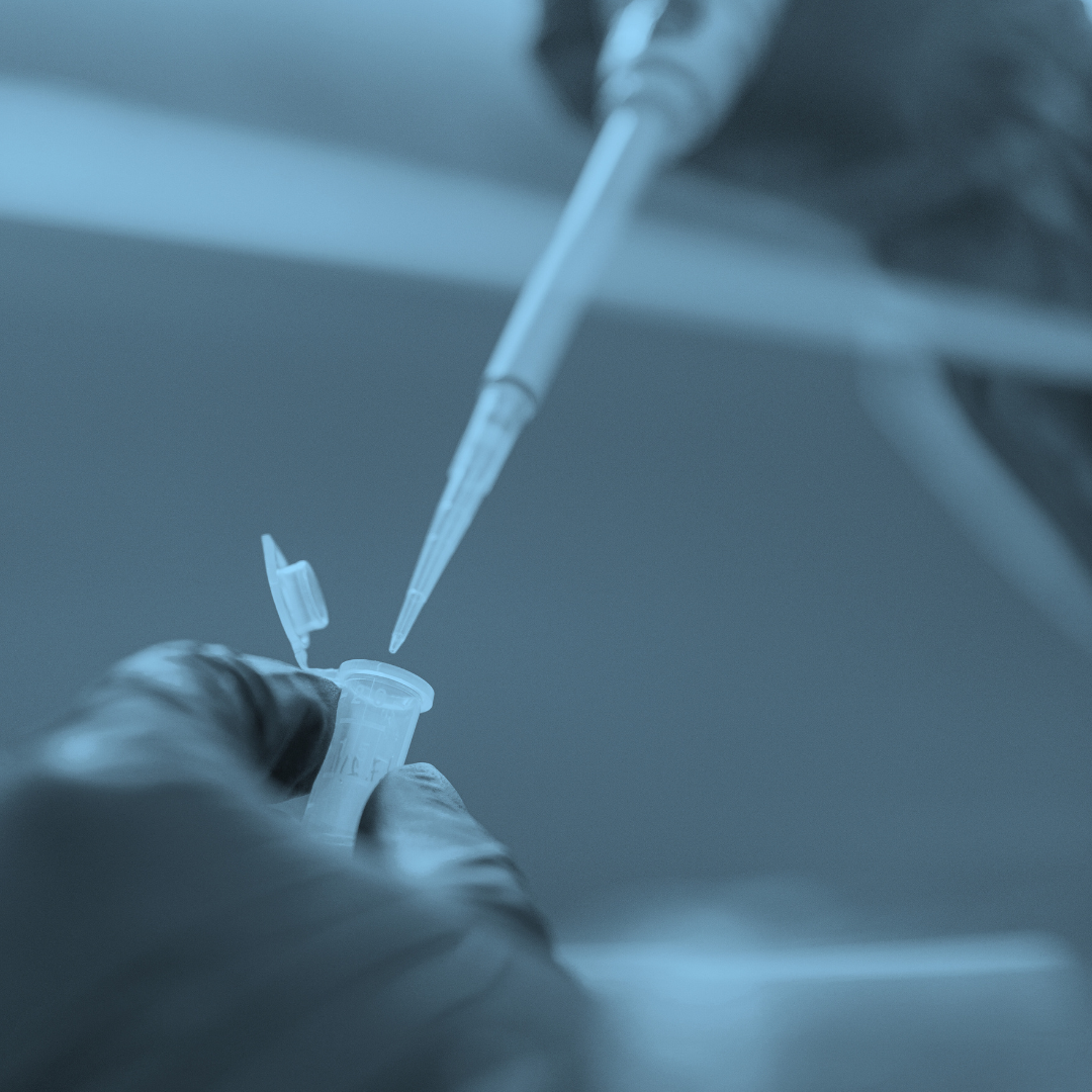 Protein Purification Process