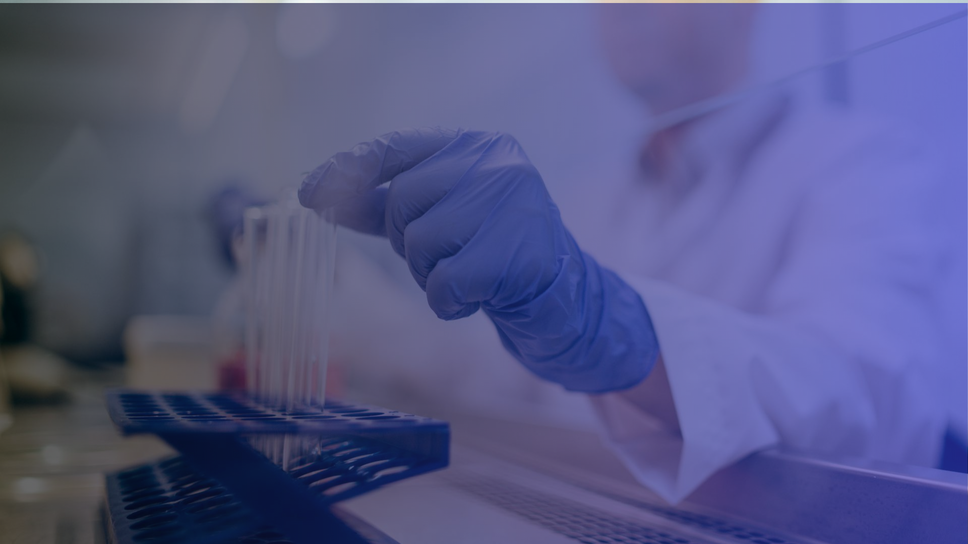 13C 15N isotope labeling service